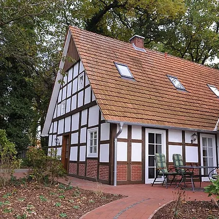 Wildrose Apartamento *