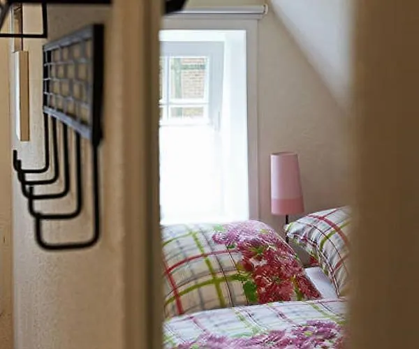 Wildrose * Badbergen