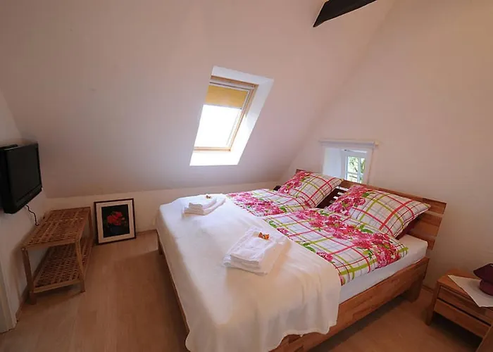 Wildrose * Badbergen